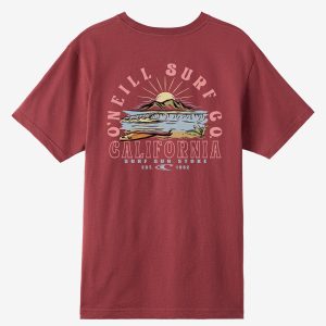 Surf. Sun. Stoke Standard Fit Tee