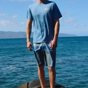 Hyperfreak Heat Stripe 20 Boardshorts