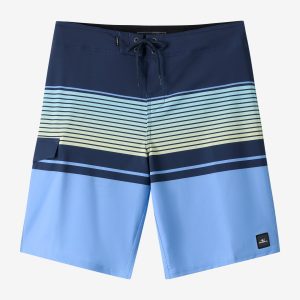Lennox Stripe 21 Boardshorts