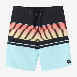 Lennox Stripe 21 Boardshorts