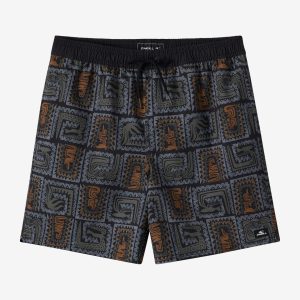 Boy's Hermosa Elastic Waist Lined 16 Swim Trunks