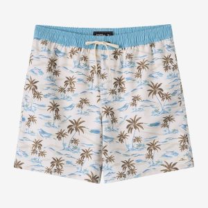 Boy's Hermosa Elastic Waist Lined 16 Swim Trunks