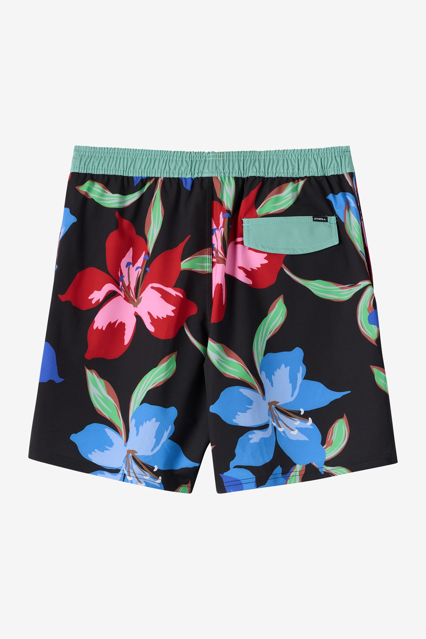 Boy's Hermosa Elastic Waist Lined 16 Swim Trunks - Image 7