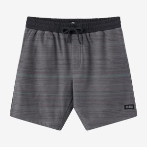 Bavaro Stripe 19 Shorts