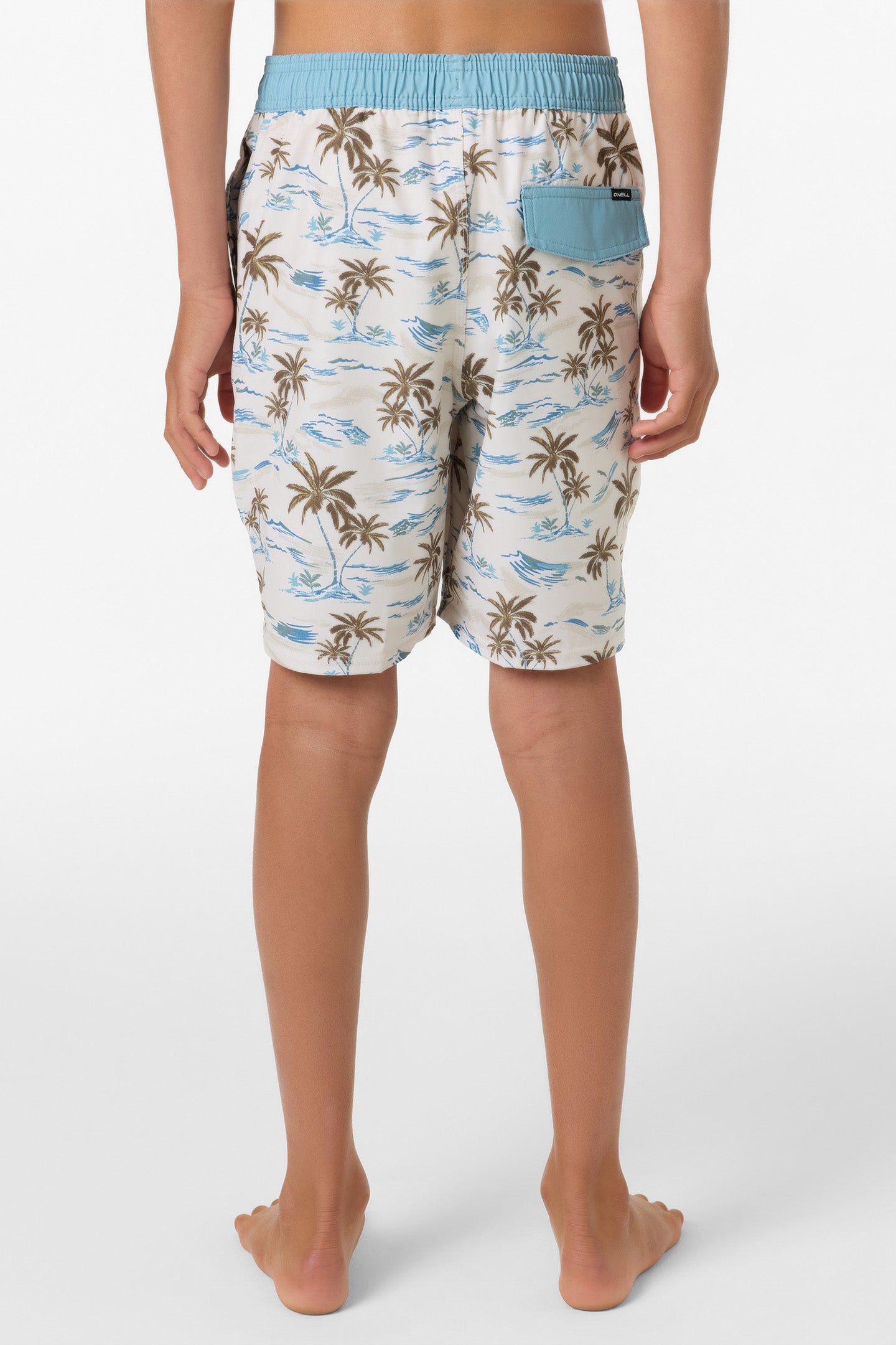Boy's Hermosa Elastic Waist Lined 16 Swim Trunks - Image 5