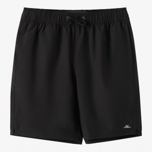 Boy's Lennox Hermosa Solid Volley 16 Swim Trunks