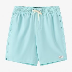 Boy's Lennox Hermosa Solid Volley 16 Swim Trunks