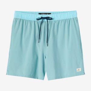 Hermosa Light Lined Elastic Waist 17 Swim Trunks