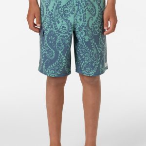 Boy's Lineup 16 Boardshorts