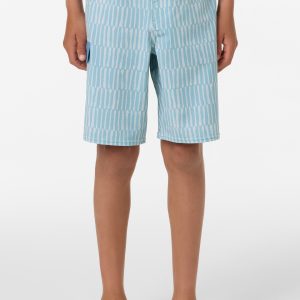 Boy's Lineup 16 Boardshorts
